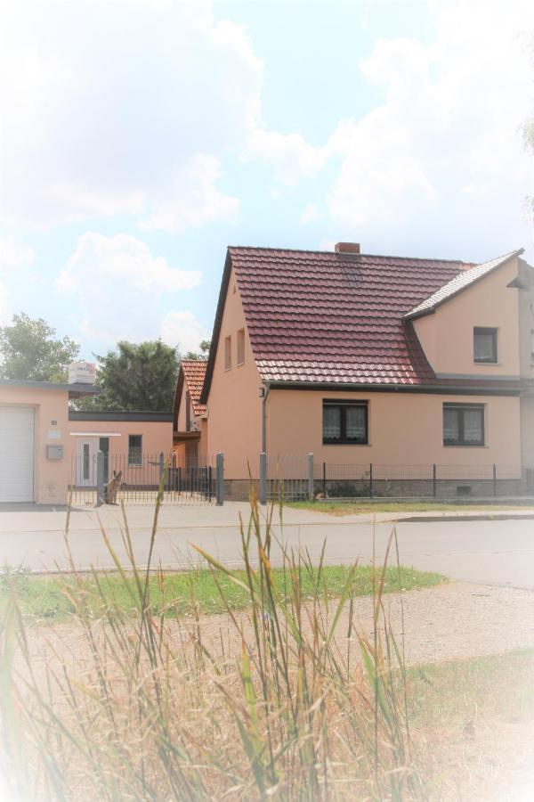 Landhaus "Zum Frosch" Kalbsrieth Exterior foto